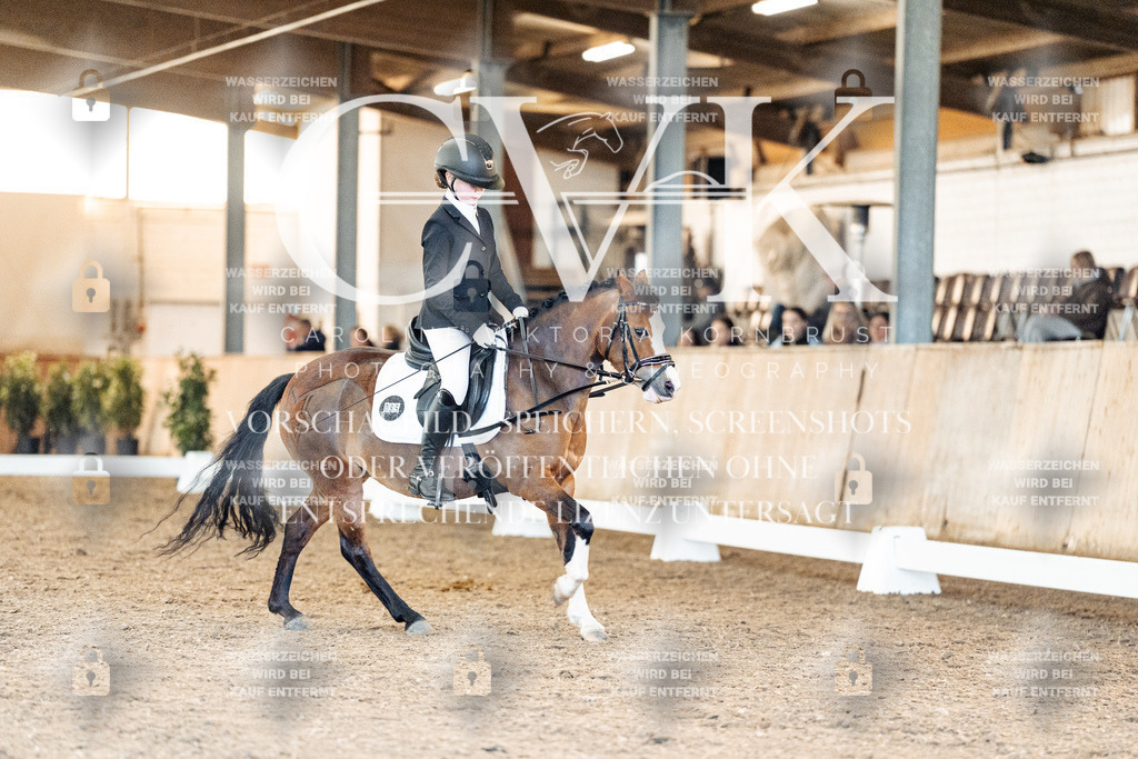 CK907507 | Turnierfotografie Pferdefotografie Trier Rheinland-Pfalz Pferdesport Reitsport Tierfotografie Sportfotografie Pferdevideo Pferdevideografie Equestrianvideography equestrianphotography  - Realisiert mit Pictrs.com