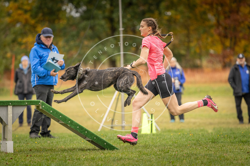 Pfotenfotografie_DV3A6426 | Hundefotografie, Tierfotograf, Pfotenfotografie, Fotoshooting Hund, Hunde Portrait, Hundesport, Hundeportraits, Heideshooting, Hunde, Sportfotograf, Hundefotograf, Turnierhundsport, THS,  - Realisiert mit Pictrs.com