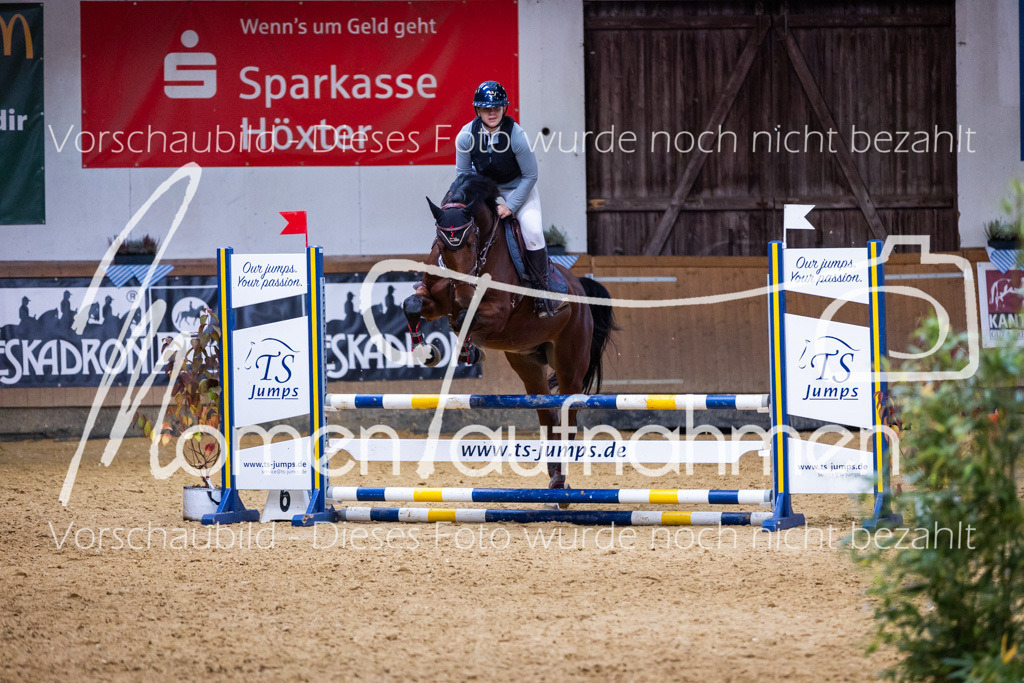 Sth-A-Springen-133 | MomenTaufnahmen Pferdesportfotos