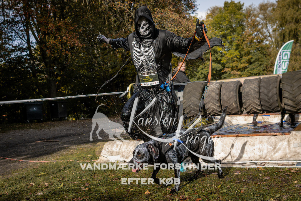 1347_ZZ93045 | kk-dogfotos