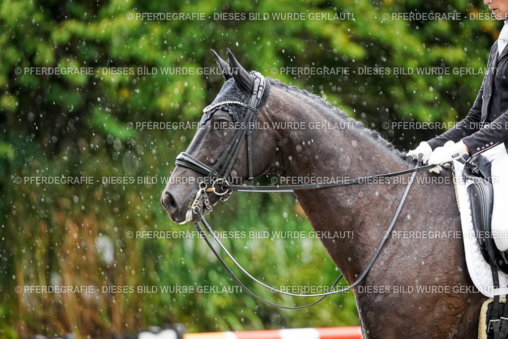 DSC08958 | Pferdegrafie