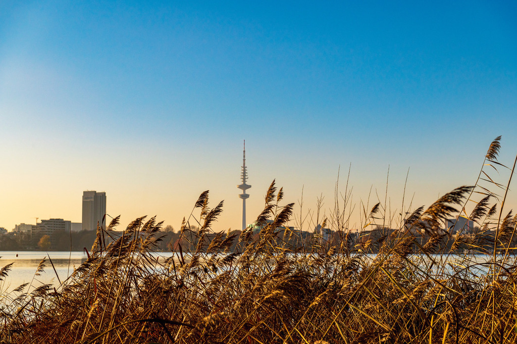 2022_12_11_HH-ALSTER_MCP6100 | Hochwertig gedruckte Fotografien für die Wand, als Kalender und zum Verschenken. Hamburg & Norddeutschland und überall wo ich mit der Kamera unterwegs war.