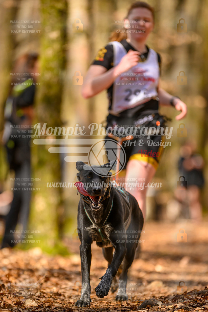 MompixPhotography_Habay2025_SA_CCC-156 | PayLife