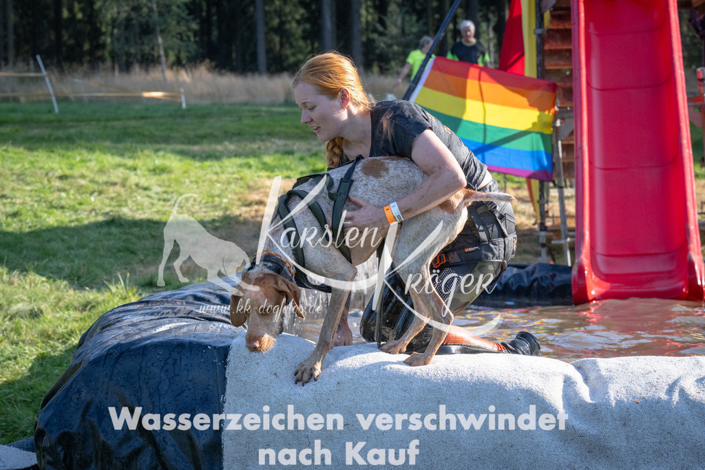 1717_ZZ94497 | kk-dogfotos