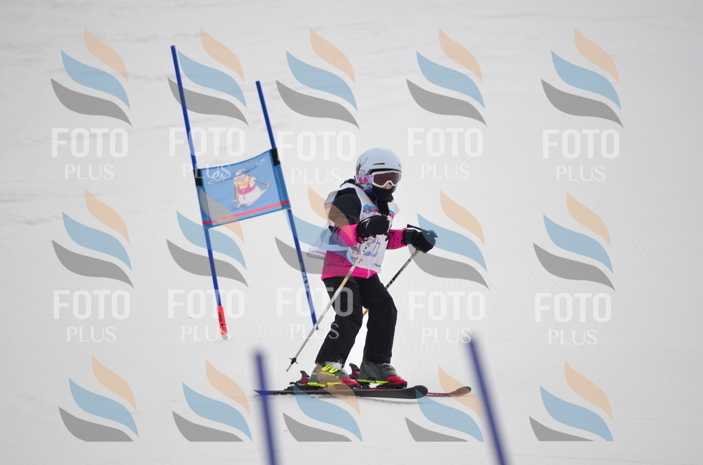 C0082 | holidayphoto