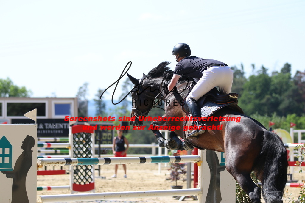 IMG_2995 | lmwpictures - Realisiert mit Pictrs.com