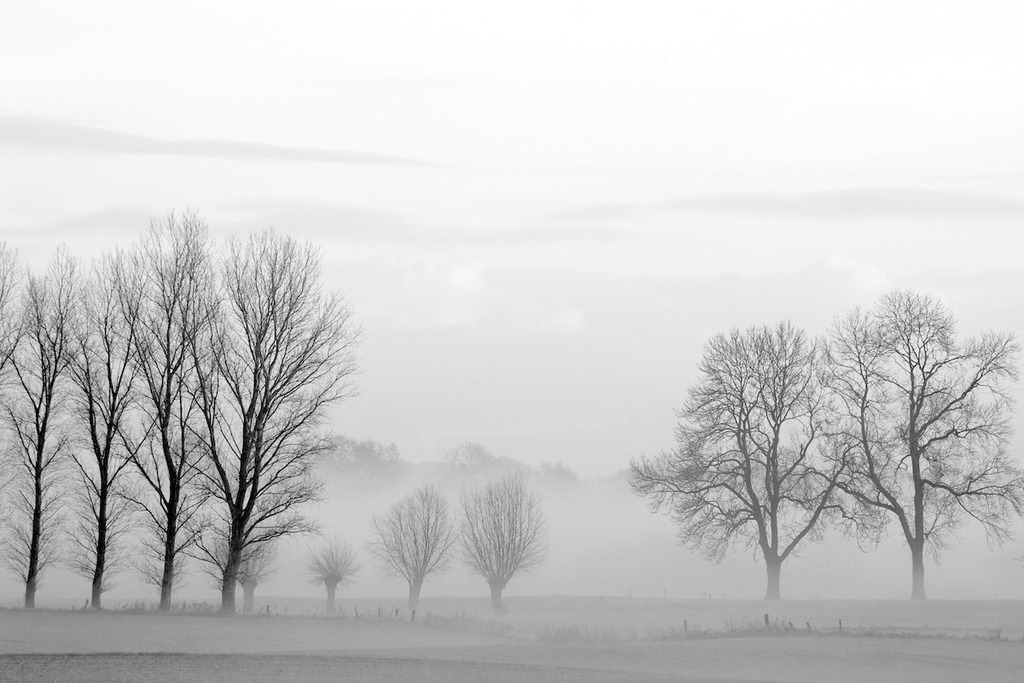 081207-052 | Europa, DEU, Deutschland, Nordrhein Westfalen, NRW, Rheinland, Niederrhein, Huenxe, Naturpark Hohe Mark, Landschaft, Lippeaue, Auenlandschaft, Typische Flusslandschaft, Morgenstimmung, Nebel, Dunst, Baeume, Pappeln, Kategorien und Themen, Natur, Umwelt, Landschaft, Jahreszeiten, Stimmungen, Landschaftsfotografie, Landschaften, Landschaftsphoto, Landschaftsphotographie, Naturschutz, Naturschutzgebiete, Landschaftsschutz, Biotop, Biotope, Landschaftsschutzgebiete, Landschaftsschutzgebiet, Oekologie, Oekologisch, Typisch, Landschaftstypisch, Landschaftspflege

[Fuer die Nutzung gelten die jeweils gueltigen Allgemeinen Liefer-und Geschaeftsbedingungen. Nutzung nur gegen Verwendungsmeldung und Nachweis. Download der AGB unter http://www.image-box.com oder werden auf Anfrage zugesendet. Freigabe ist vorher erforderlich. Jede Nutzung des Fotos ist honorarpflichtig gemaess derzeit gueltiger MFM Liste - Kontakt, Uwe Schmid-Fotografie, Duisburg, Tel. (+49).2065.677997, 
archiv@image-box.com, www.image-box.com] - Realisiert mit Pictrs.com