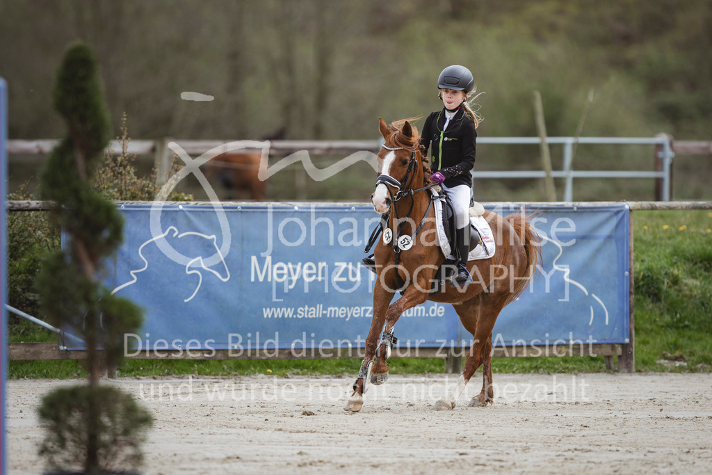 240330_Fruehlingsfest_Stilspring-WB-510 | Deine schönsten Turniermomente als professionelle Fotos! Entdecke hochwertige Pferdesport-Fotografie im Online-Shop. Jetzt Fotos finden & bestellen!