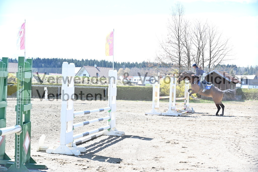DSC_5308 | equestrian-live-com