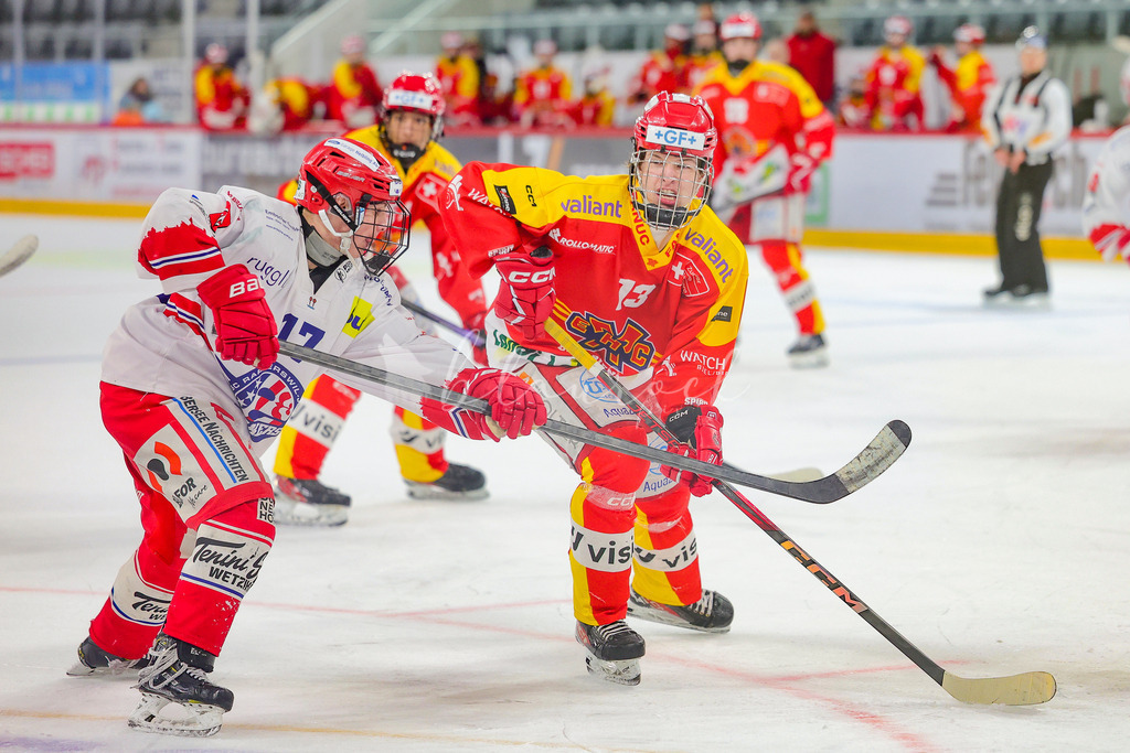 0316_WB_EHCB vs SCRJL_1635 | Sportbilder, Sportfotograf, Hochzeits- und Eventfotografin, Flugshows, Portraits und Tiershooting, Aviation, Downhill, Nationalleague, Swissleague, International