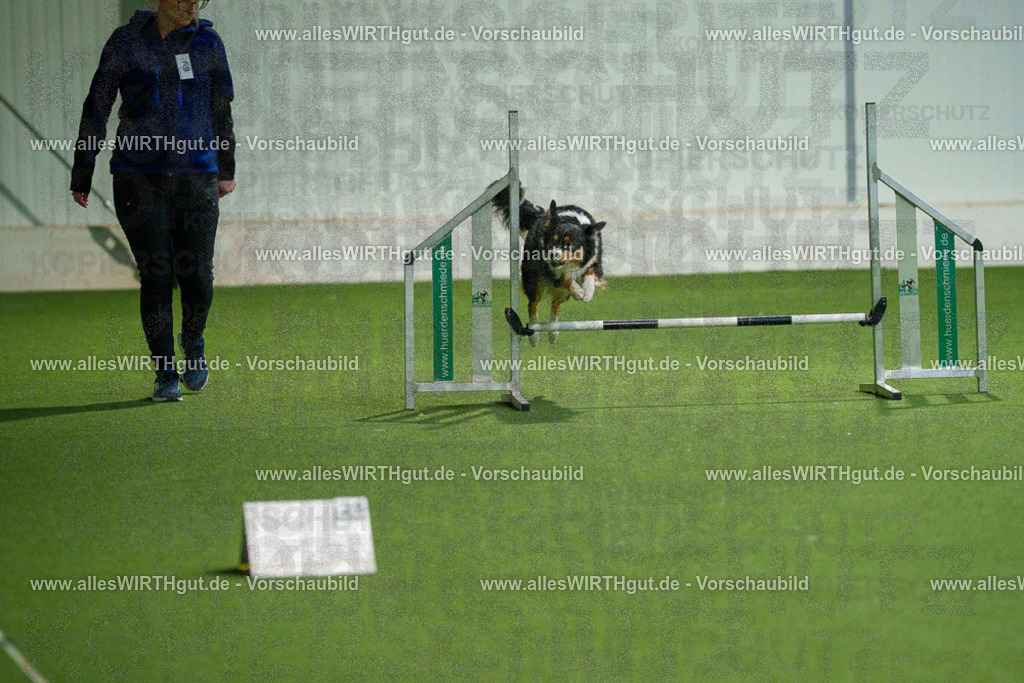 7R508193 | Professionelle Tierfotografie in Mönchengladbach von Daniel Wirth (allesWIRTHgut). Liebevolle & natürliche Bilder von Hunden & Katzen für unvergessliche Erinnerungen.