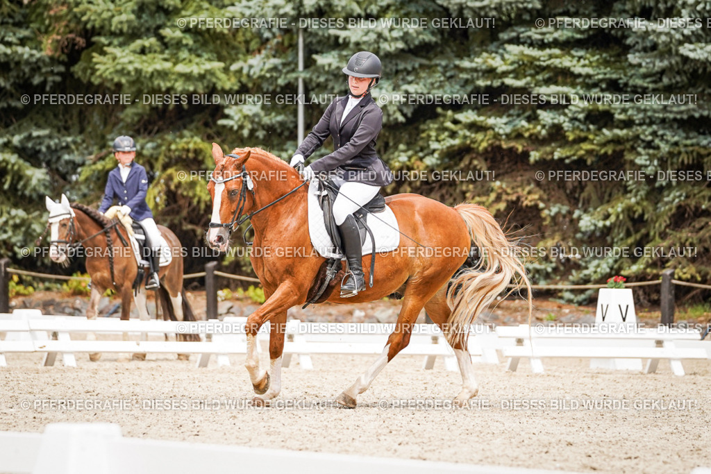 DSC04283 | Pferdegrafie