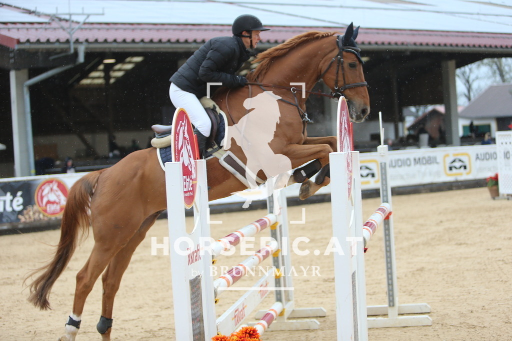 DL2Q6879 | Willkommen bei Brunnmayr - Design & Fotografie – Ihrem Spezialisten für Reitturniere und Pferdeveranstaltungen in Oberösterreich, Salzburg und Bayern! Seit über 17 Jahren sind wir leidenschaftlich dabei.