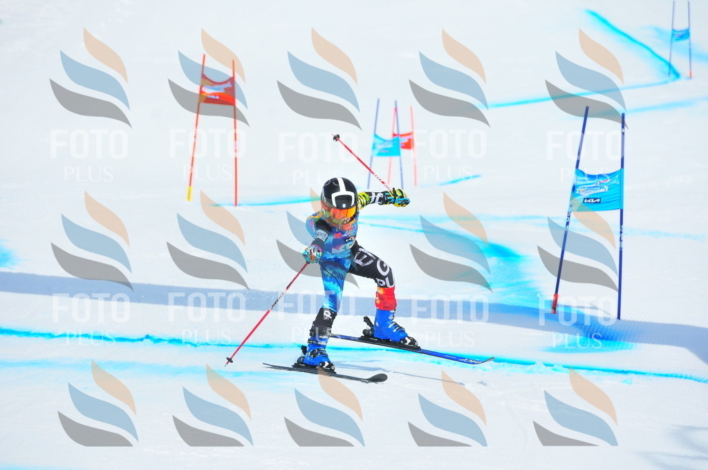 DSC_1600 | holidayphoto