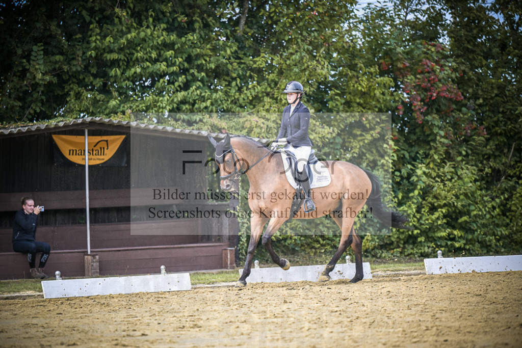 DOS_6305 | Entdecke hochwertige Reitturnierfotos von Foto Oger. Professionell, emotional und authentisch – jetzt Lieblingsmomente im Shop bestellen.Deutschlandweite Turnierfotografie. - Realisiert mit Pictrs.com