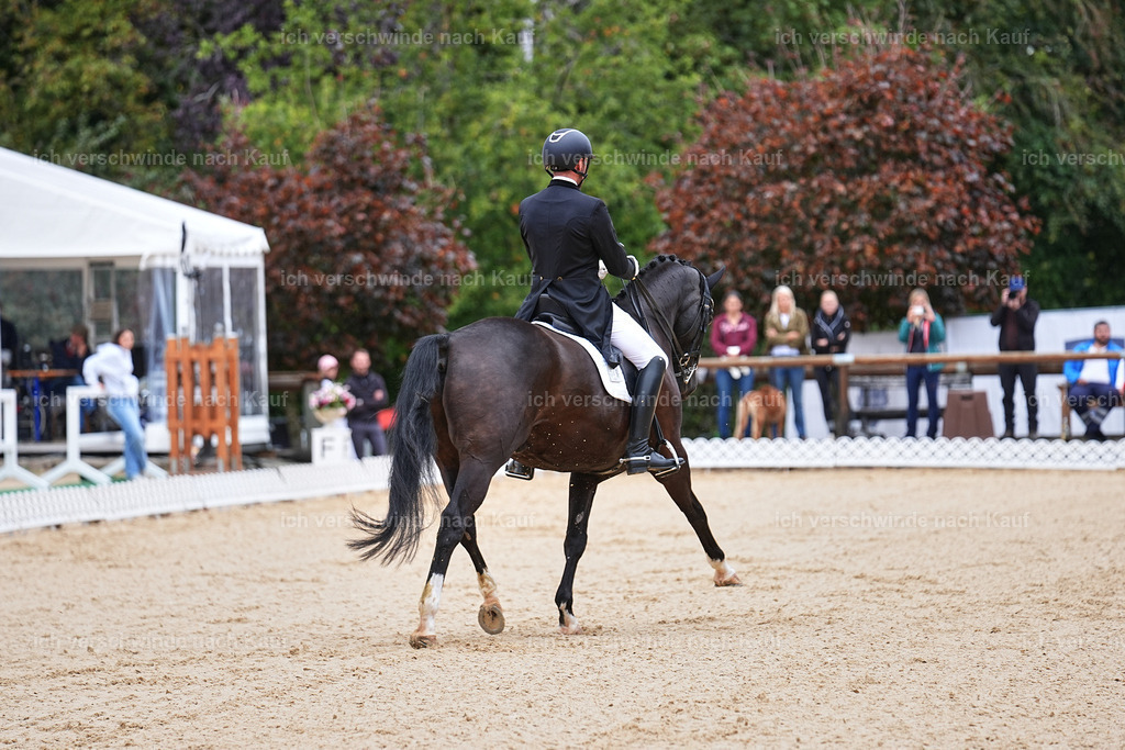 8_1-045-Klasse S_  -Marixx-4038 | working equitationturnier fotograf videograf stoibphotography marixx film working equitation deutschland reitsport turnierfotografie eventfotografie equestrian events