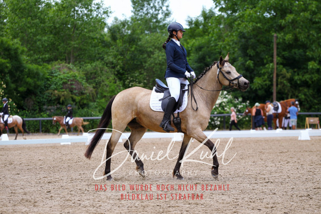 DKP46255 | Turnierfotos kaufen im Webshop von Daniel Kuhl Photography – entdecke professionelle Reitsportfotos aus Turnieren & Events. Hochwertige Turnierbilder online bestellen & sichern. Jetzt Fotos von Reitsportturnieren kaufen!