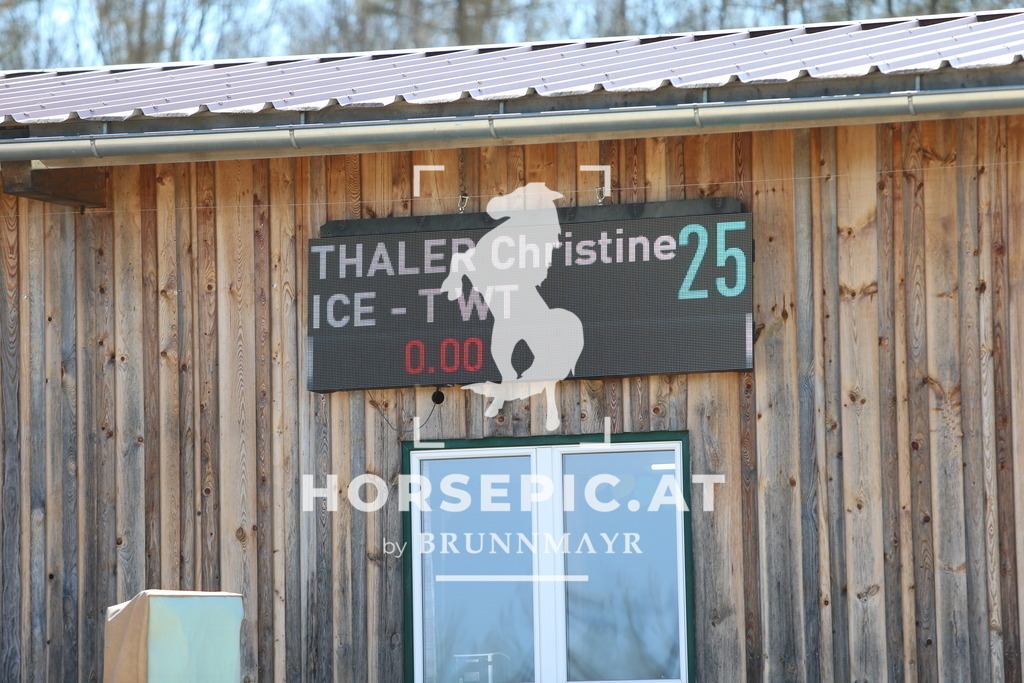 DL2Q6062 | Willkommen bei Brunnmayr - Design & Fotografie – Ihrem Spezialisten für Reitturniere und Pferdeveranstaltungen in Oberösterreich, Salzburg und Bayern! Seit über 17 Jahren sind wir leidenschaftlich dabei.