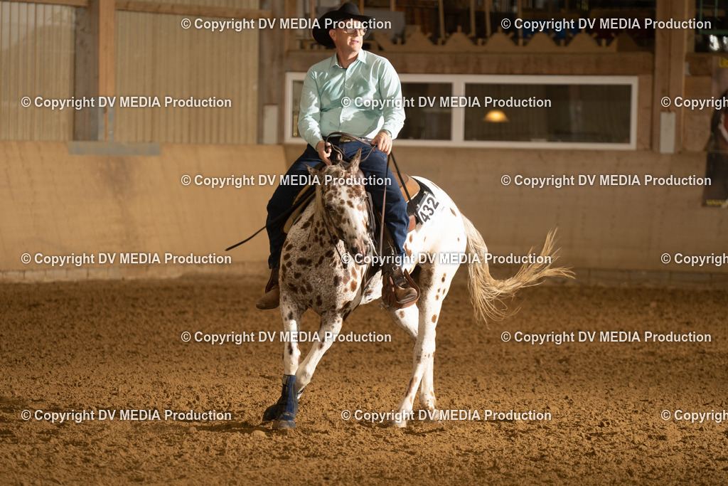 LAU00408 | dv-media-shop - Realisiert mit Pictrs.com