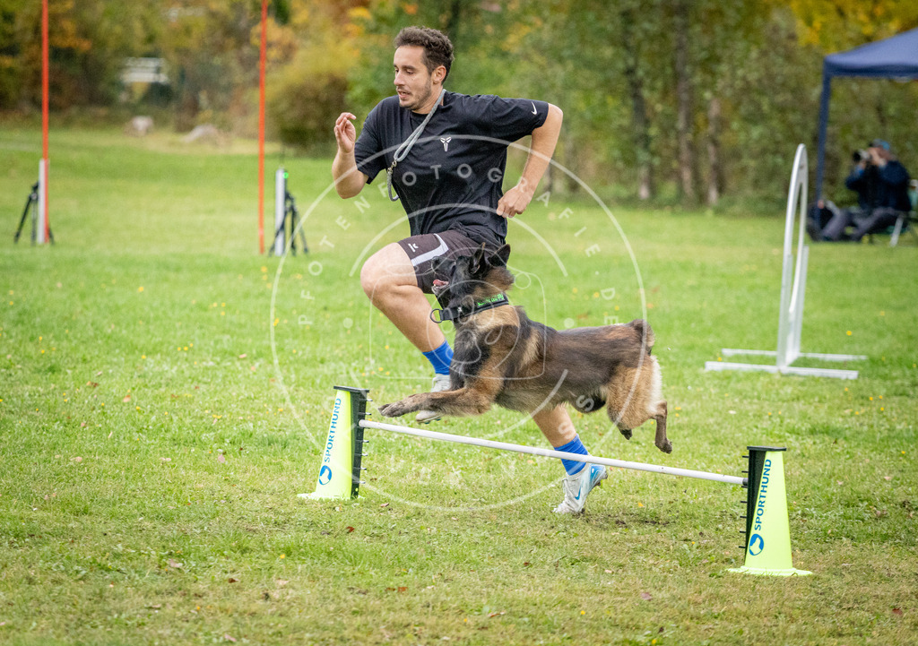 Pfotenfotografie_DV3A1045 | Hundefotografie, Tierfotograf, Pfotenfotografie, Fotoshooting Hund, Hunde Portrait, Hundesport, Hundeportraits, Heideshooting, Hunde, Sportfotograf, Hundefotograf, Turnierhundsport, THS,  - Realisiert mit Pictrs.com