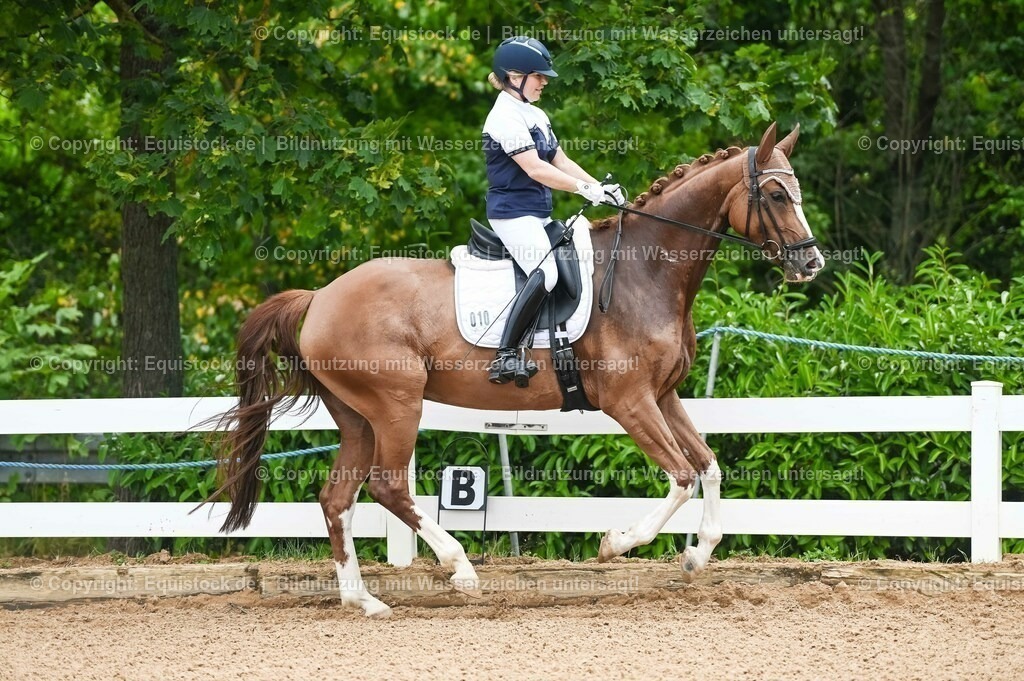 20230715_07_Dressurpferdeprfg. Kl.L_0036 | equistock