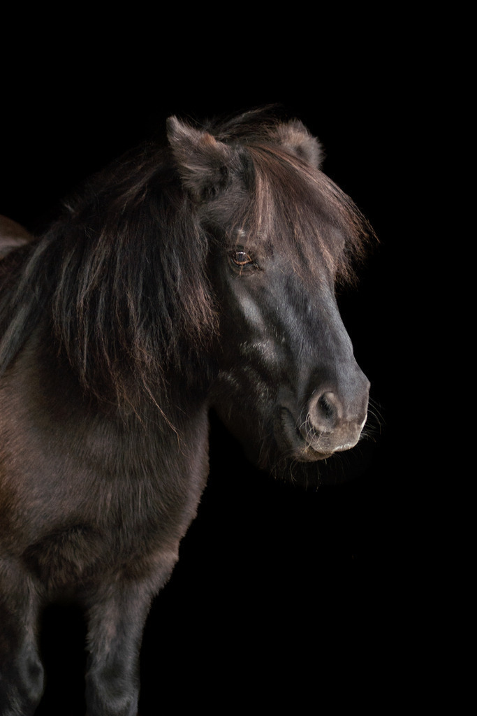 _DSC1518 | photography by friederike - Realisiert mit Pictrs.com