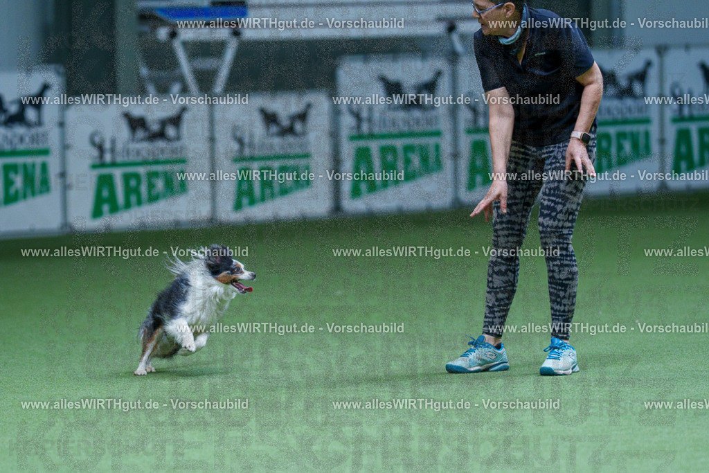 @allesWIRTHgut_Tierfotografie - www.allesWIRTHgut.de - 2604251300-7R503347 | Professionelle Tierfotografie in Mönchengladbach von Daniel Wirth (allesWIRTHgut). Liebevolle & natürliche Bilder von Hunden & Katzen für unvergessliche Erinnerungen.
