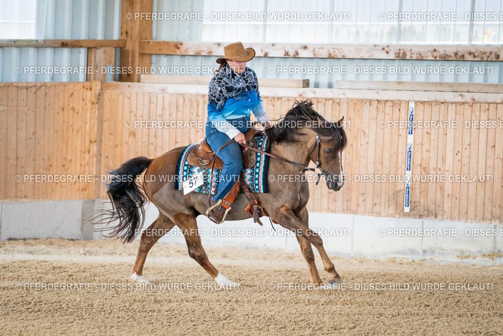 DSC01734 | Pferdegrafie