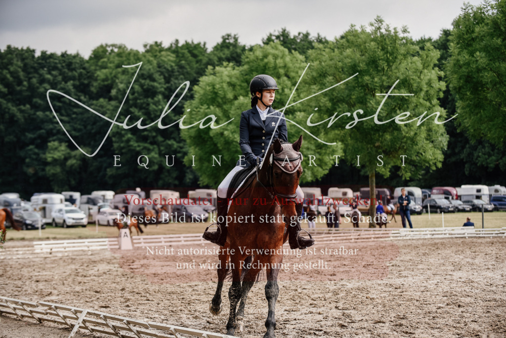 DSC_9616 | Pferde- und Turnierfotografie in Westsachsen. Pferdeportraits, Auftragszeichnungen und intuitive Kunst.