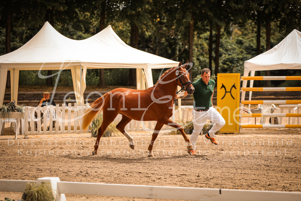 10.So00099 | Leoni Ertmer Photography - Realisiert mit Pictrs.com