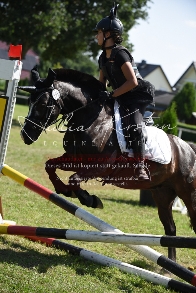 DSC_0355 | Pferde- und Turnierfotografie in Westsachsen. Pferdeportraits, Auftragszeichnungen und intuitive Kunst.