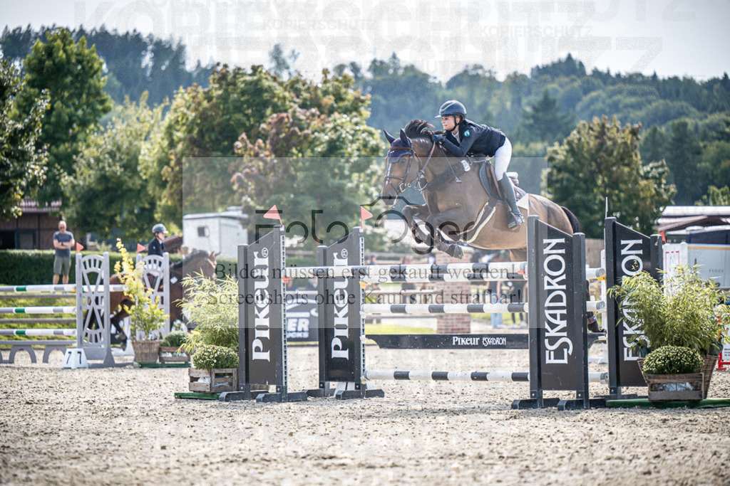 DOS_0765 | Entdecke hochwertige Reitturnierfotos von Foto Oger. Professionell, emotional und authentisch – jetzt Lieblingsmomente im Shop bestellen.Deutschlandweite Turnierfotografie. - Realisiert mit Pictrs.com