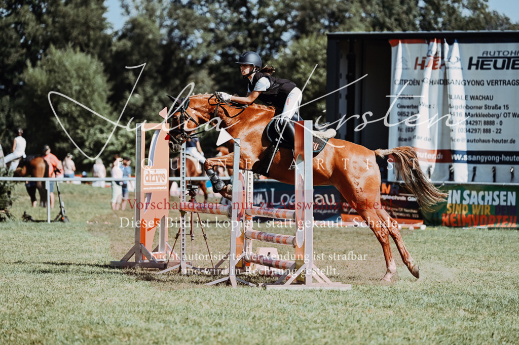 DSC_6851 | Pferde- und Turnierfotografie in Westsachsen. Pferdeportraits, Auftragszeichnungen und intuitive Kunst.