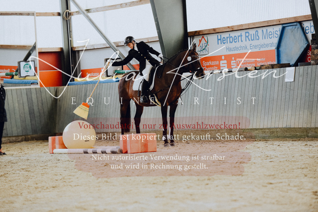 DSC_6785 | Pferde- und Turnierfotografie in Westsachsen. Pferdeportraits, Auftragszeichnungen und intuitive Kunst.
