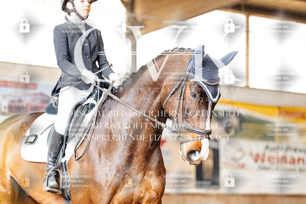 CK901160 | Turnierfotografie Pferdefotografie Trier Rheinland-Pfalz Pferdesport Reitsport Tierfotografie Sportfotografie Pferdevideo Pferdevideografie Equestrianvideography equestrianphotography  - Realisiert mit Pictrs.com