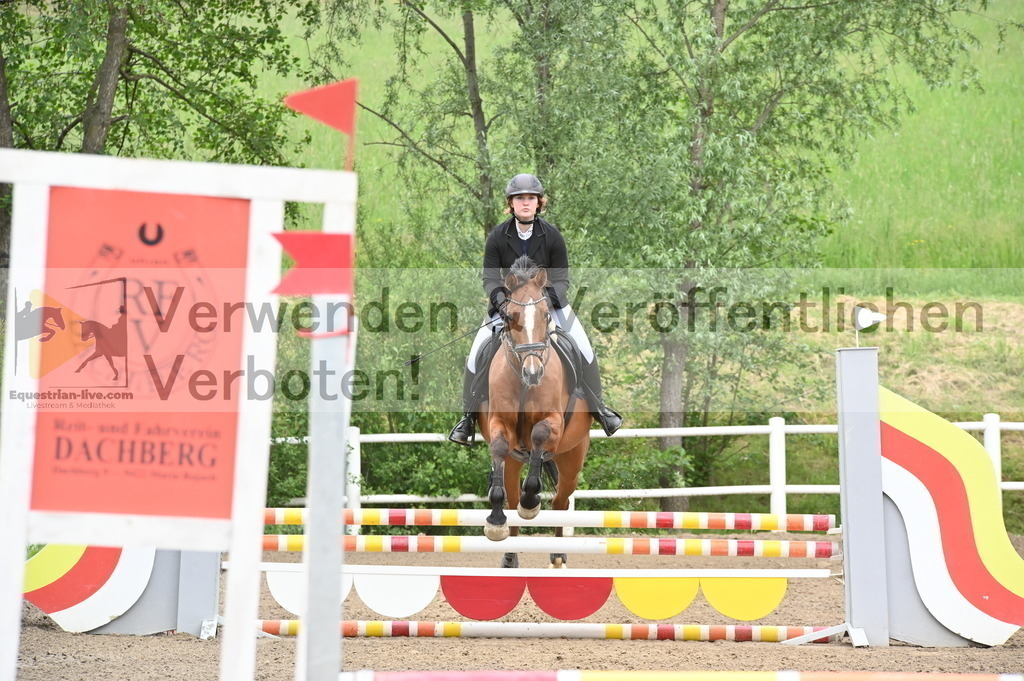 DSC_7946 | equestrian-live-com