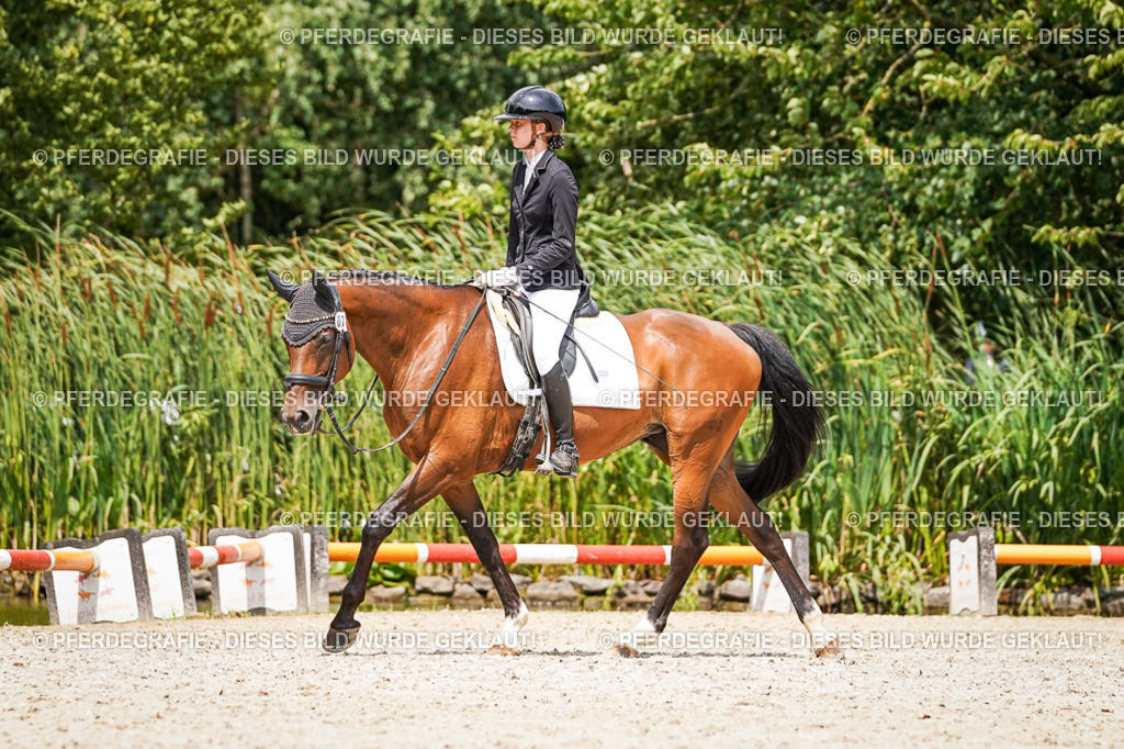 DSC03588 | Pferdegrafie