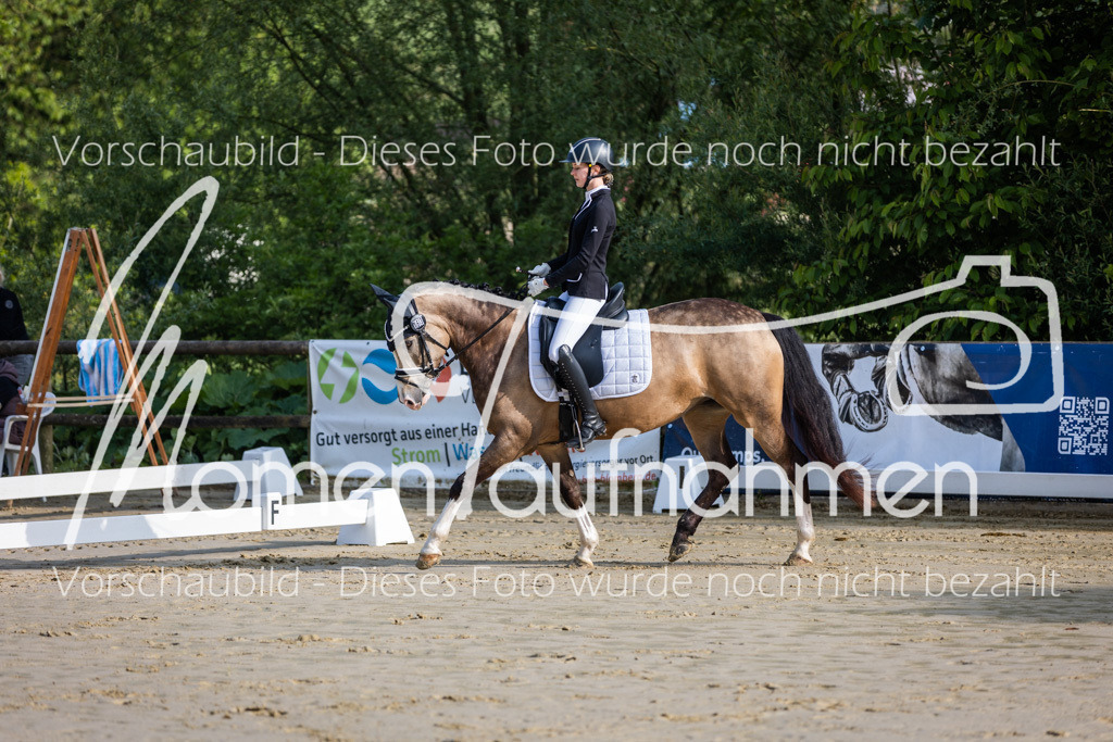 Donop24-A-Dre-001 | MomenTaufnahmen Pferdesportfotos