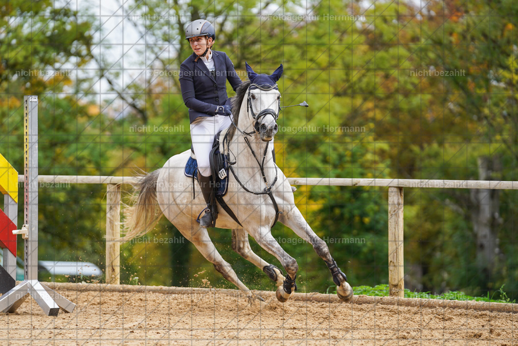20221009-FAH08724 | Diessen am Ammersee, 2022, Dressur- und Springturnier, Reitsportbilder, Turnierfotografen Bayern, Pferdefotografen, Fotoagentur Herrmann, Turnierbilder