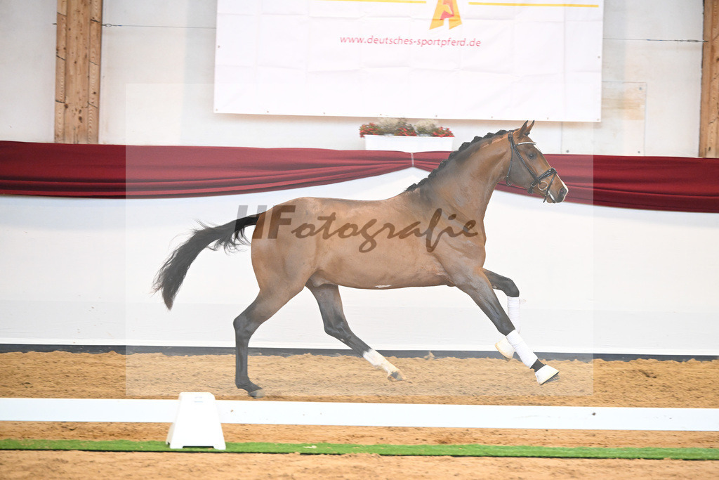 Kat-Nr. 23 v. Don Schufro_Raumanns_66220570 | hf-fotografie - Realisiert mit Pictrs.com