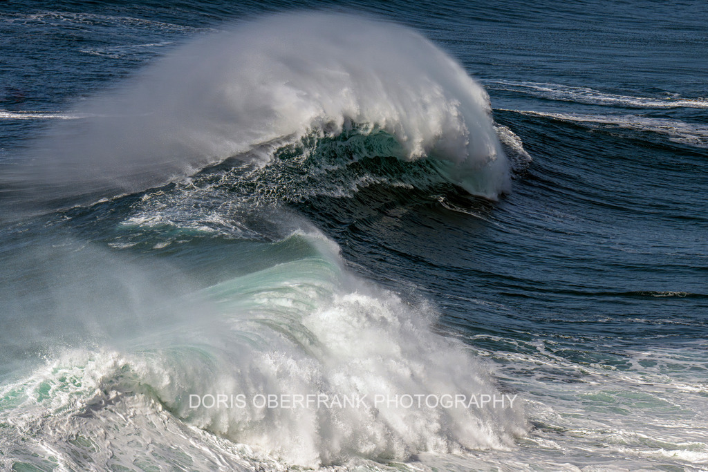 White shark | Nazaré: White shark - Realisiert mit Pictrs.com