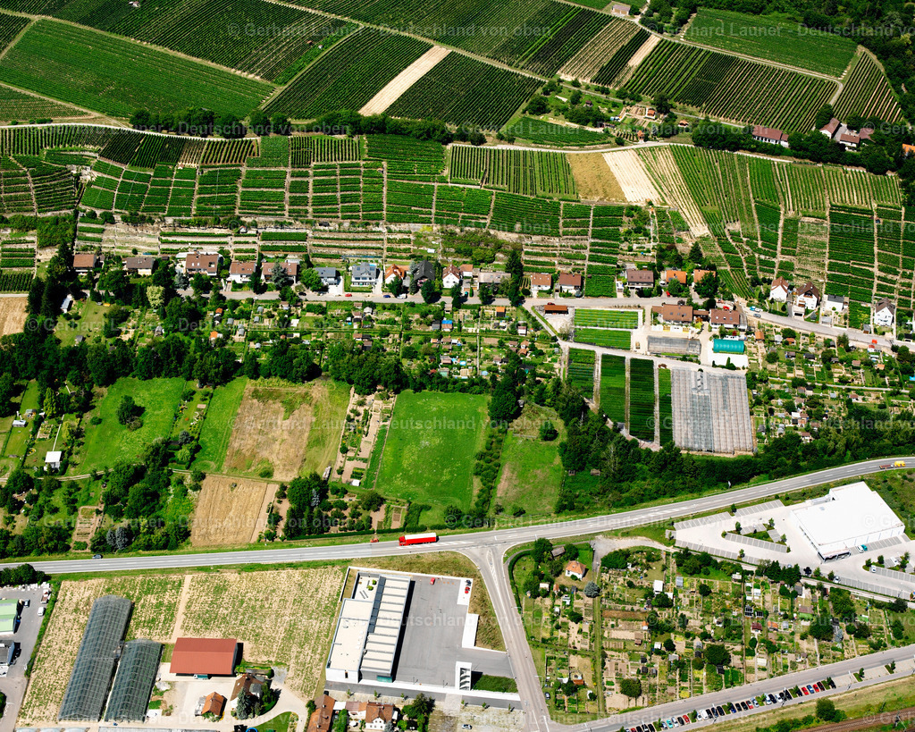 2501643 | Weinberge bei Lauffen am Neckar
