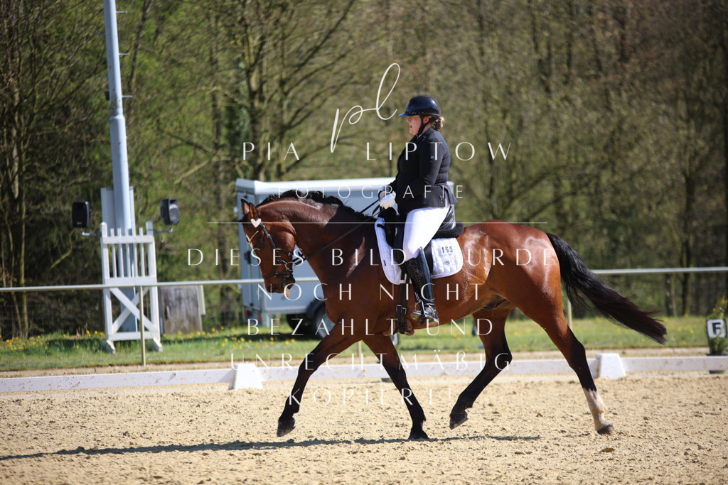 IMGT8676 | pl-fotografie