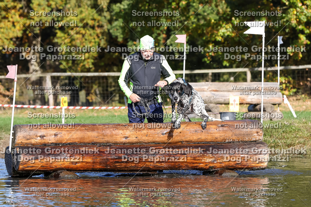 Dog Paparazzi - Strongdog 10-25-8674 | Dog Paparazzi Jeanette Grottendiek Fotografie & Videografie - Realisiert mit Pictrs.com
