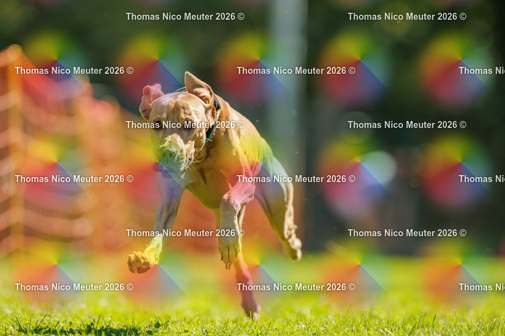 Thomas_Nico_Meuter(C)_06. September 2026_223A3019 | Bild von Thomas Nico Meuter - Realisiert mit Pictrs.com