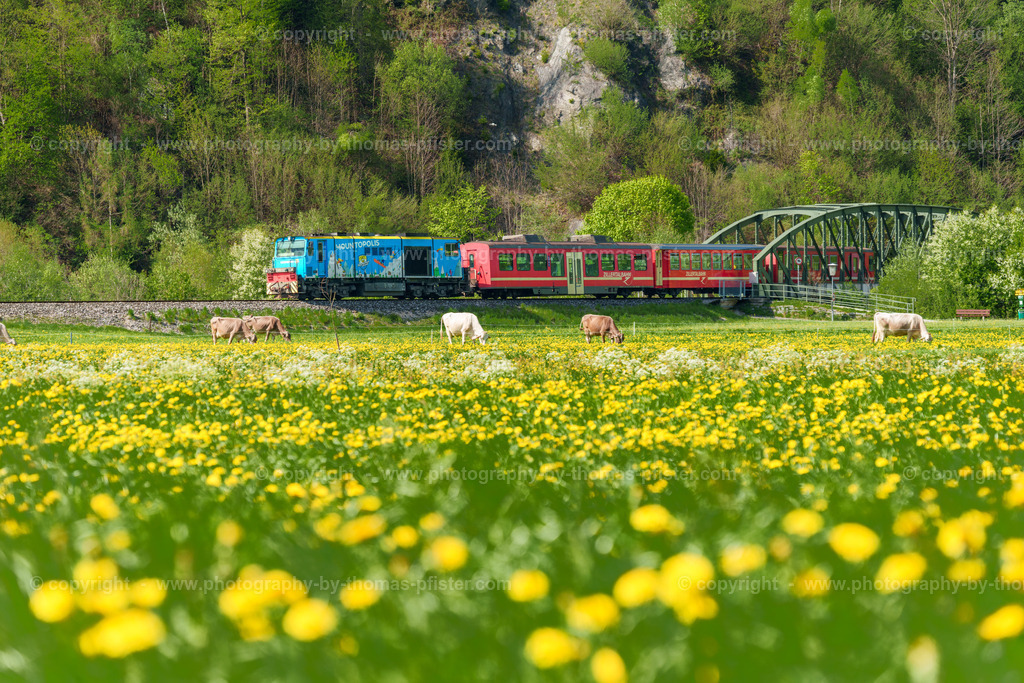 Zillertalbahn im Frühling copyright  Thomas Pfister-3 | PHOTOGRAPHY BY THOMAS PFISTER