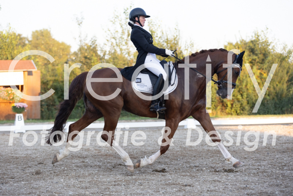 IMG_1849 | Creatify Fotografie