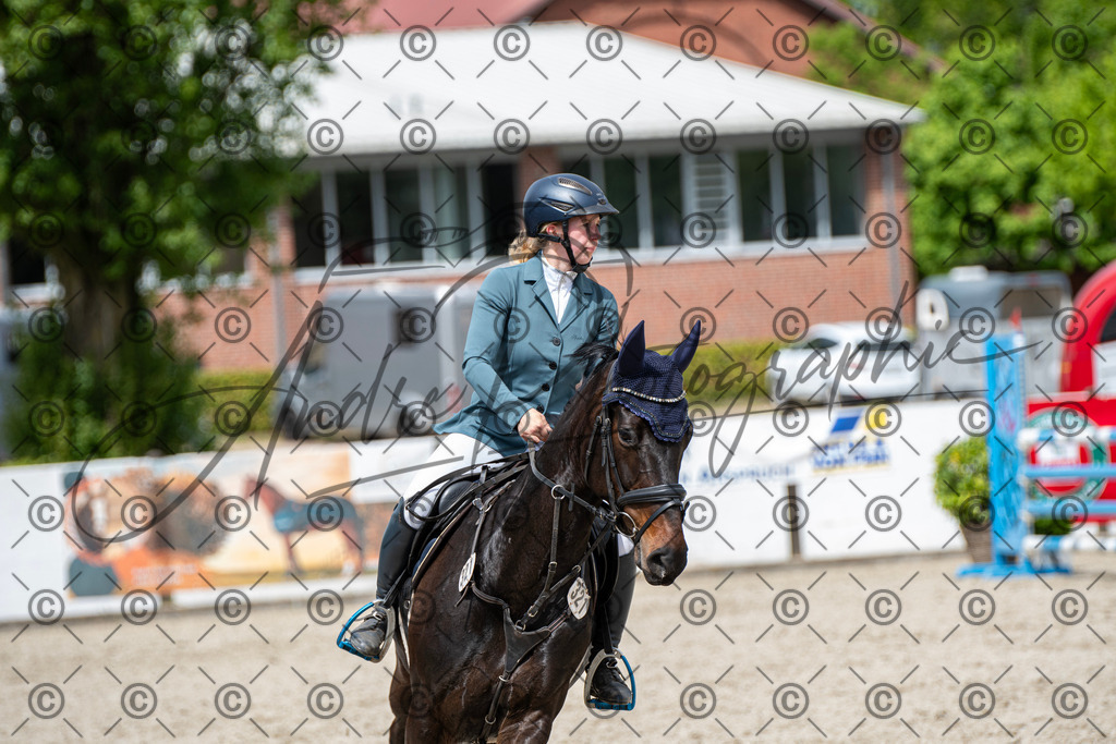 KPT_5604 | andre_photographic