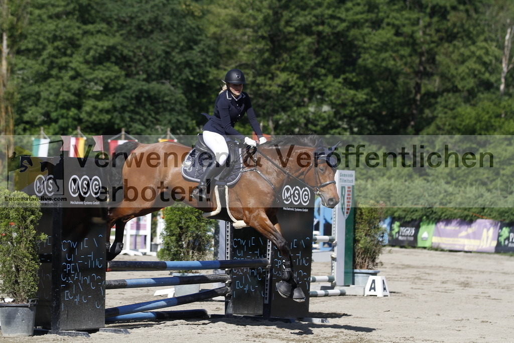 _MG_2440 | equestrian-live-com