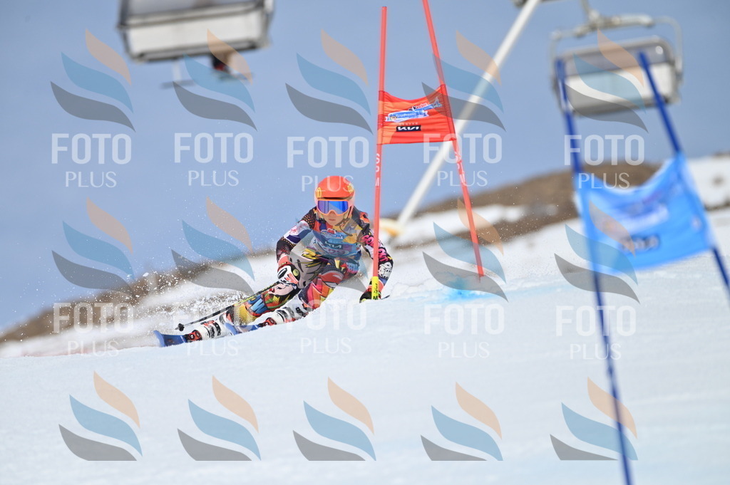 BGV_1473 | holidayphoto